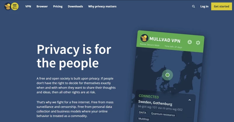 Mullvad VPN homepage interface