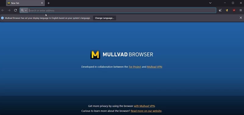 The Mullvad Browser interface