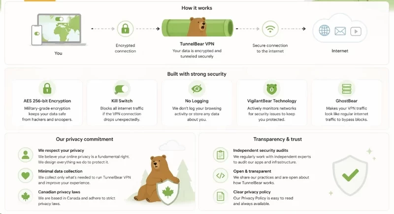 TunnelBear VPN security and privacy concept illustration