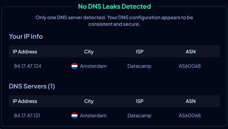 Norton VPN DNS leak protection test